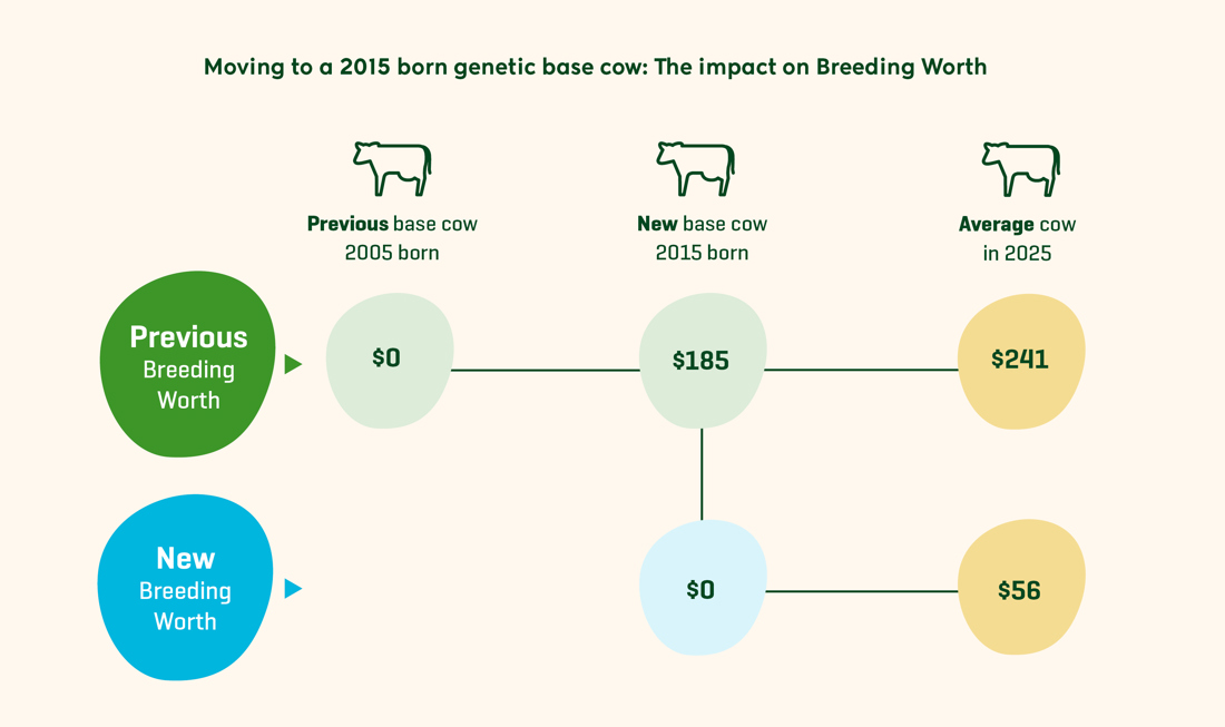 Animal Evaluation Base Cow Graphic