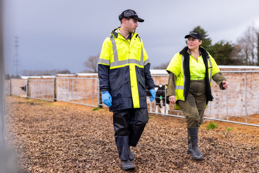 Research technicians at lye farm working on less-methane research trial.