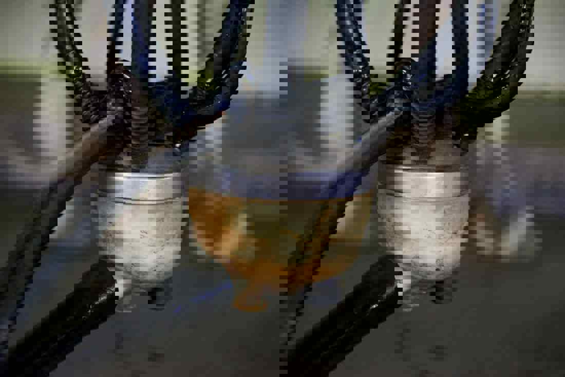An automated milking machine with milk on it