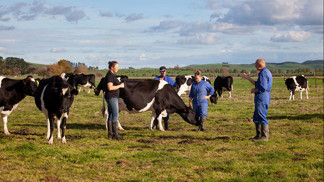 Anexa Vet Katrina Robertson With Farm Owner Peter Miedema And Contract Milkers Dan And Sarah Barlow Pod2