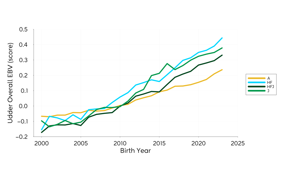 Genetic Trend Graph Udder 2024