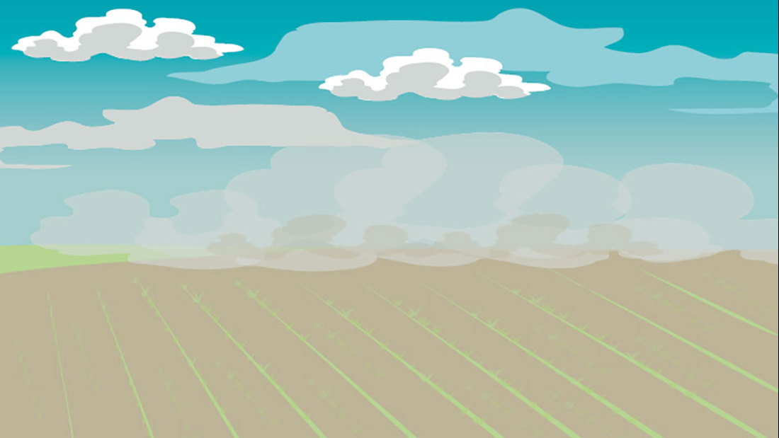 Wind Erosion