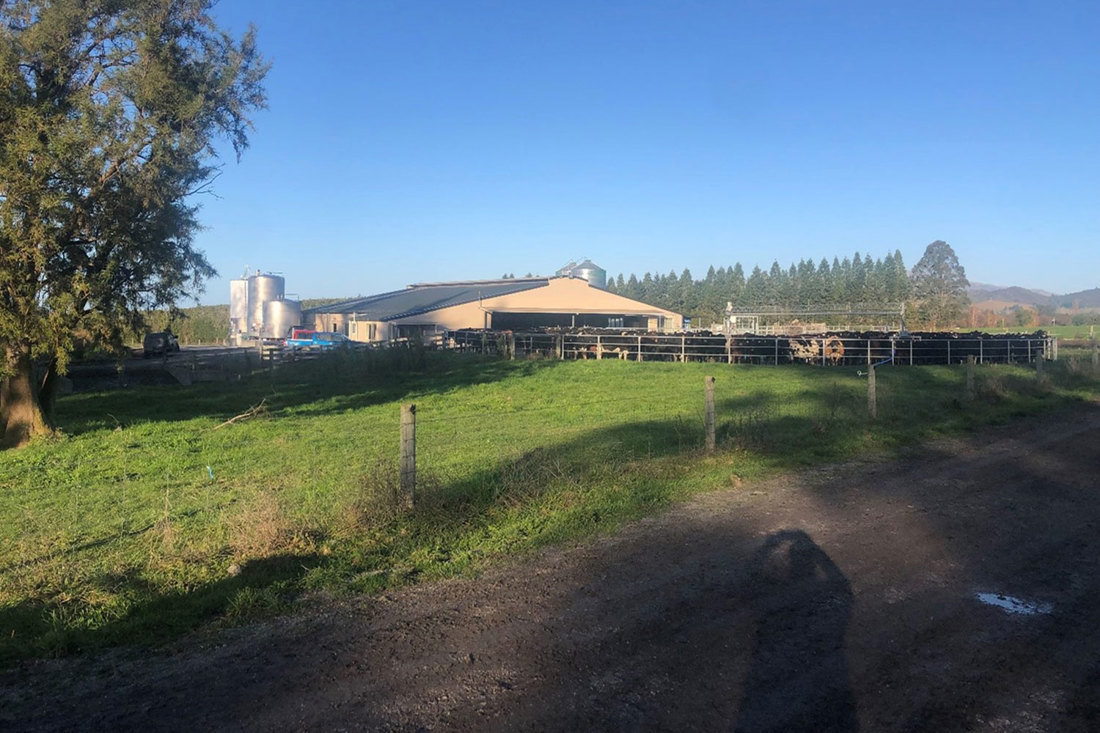 Kaikoura Earthquake Newly Built Dairy Shed 1500X1000