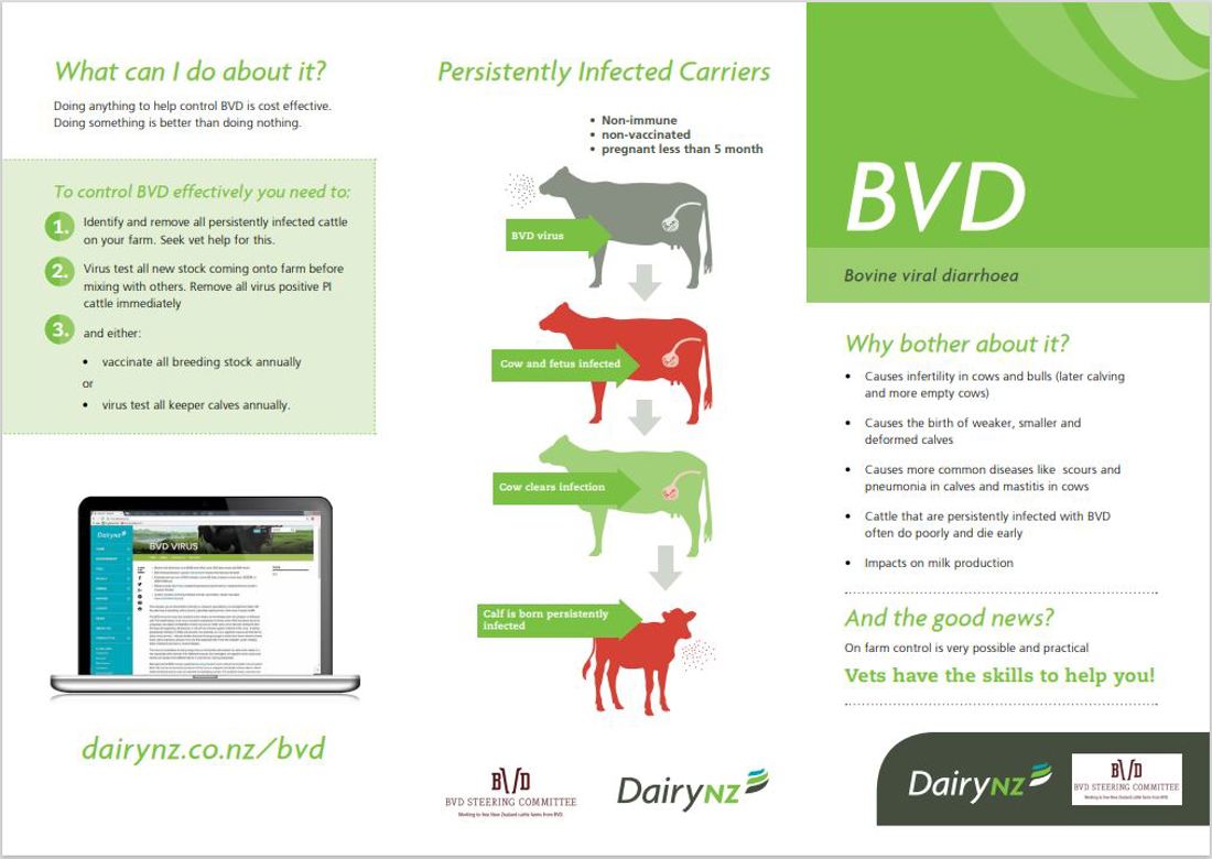 BVD Bovine Viral Diarrhoea Brochure Image