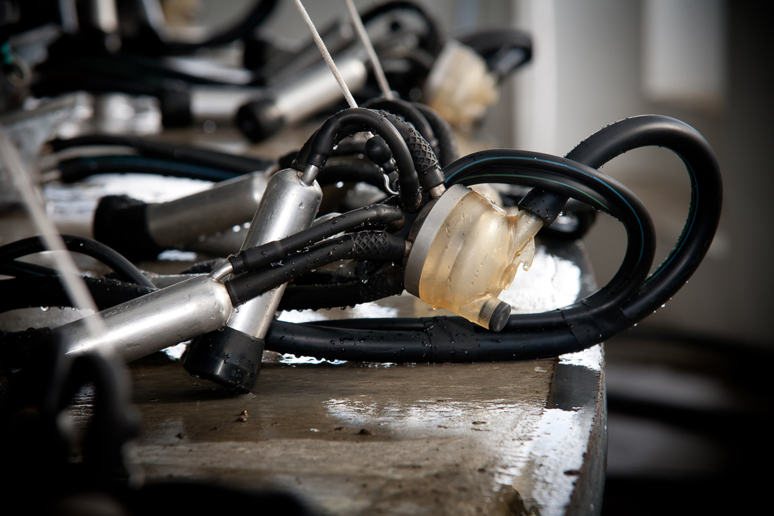 A machine used for milking cows