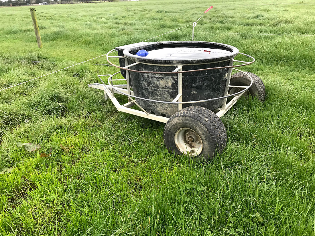 Portable trough setup using a trailer during winter grazing