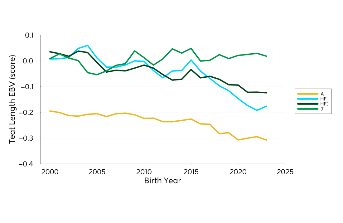 Genetic Trend Graph Teatlength 2024