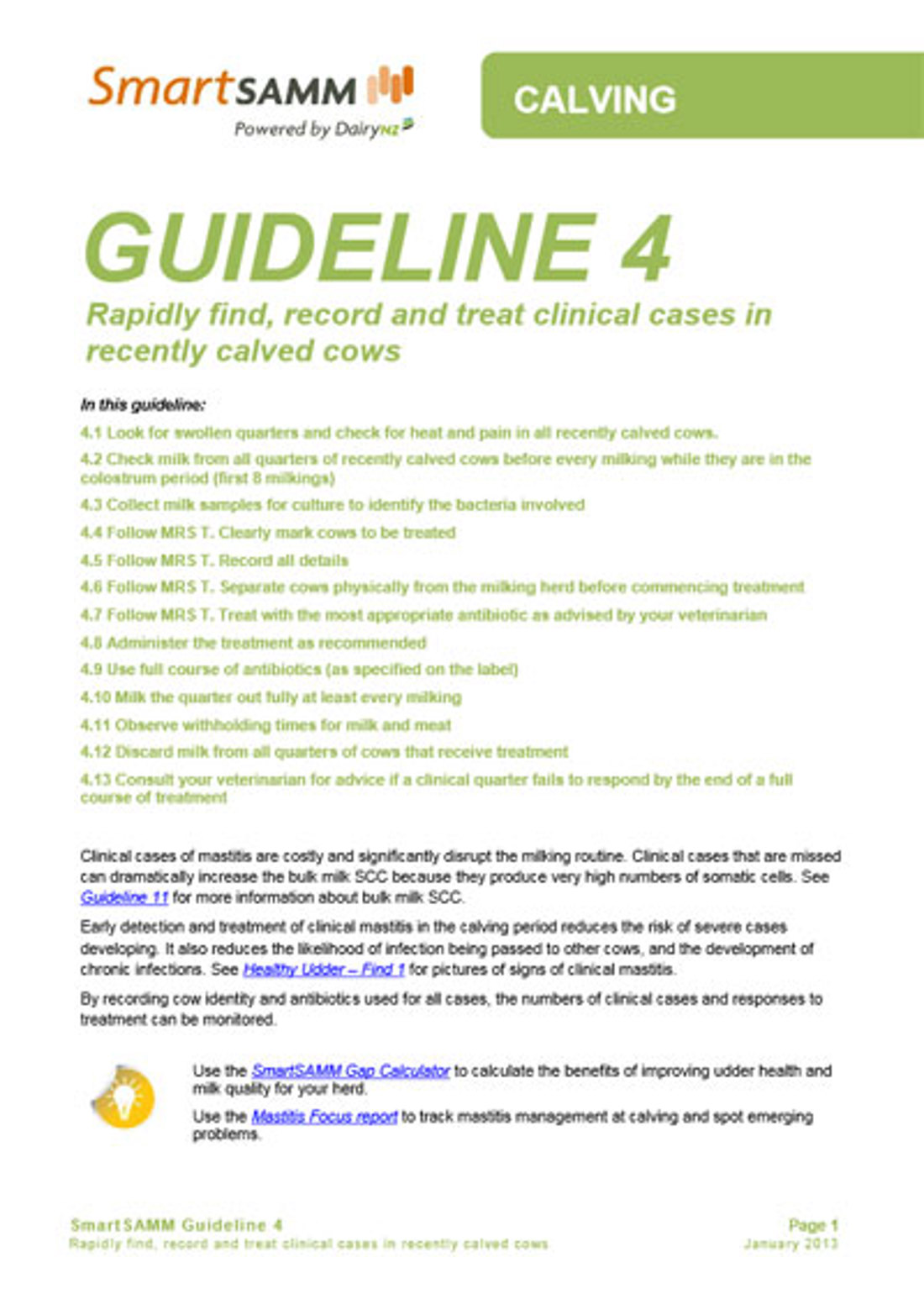 Guideline 4