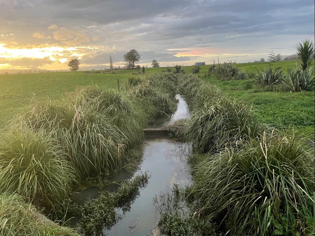 Johan And Kylie Van Ras Healthy Water Ways Established Planting