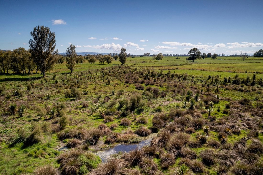 Johan And Kylie Van Ras Healthy Water Ways And Planting