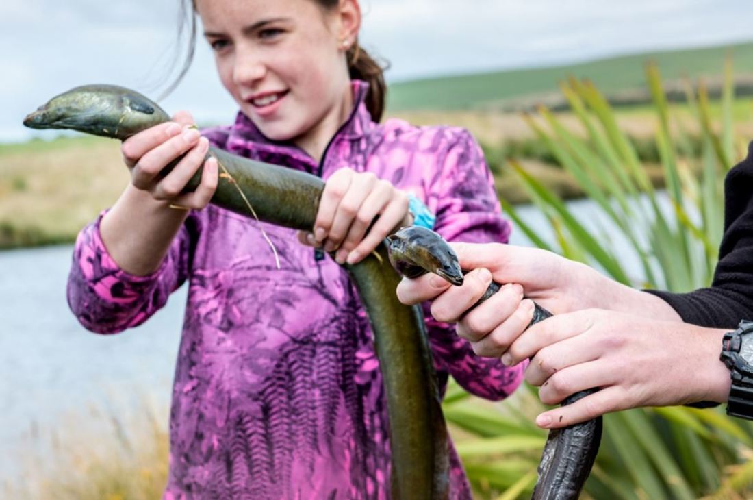 Riparian Planting Eel Image 4