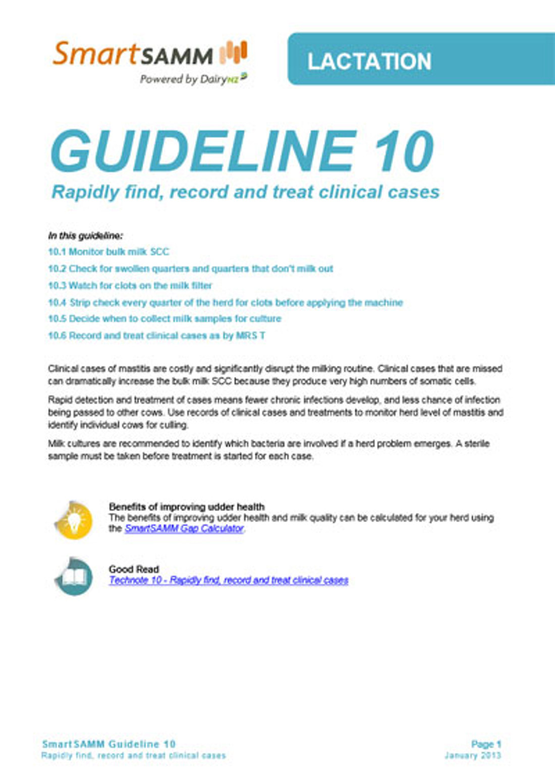 Guideline 10