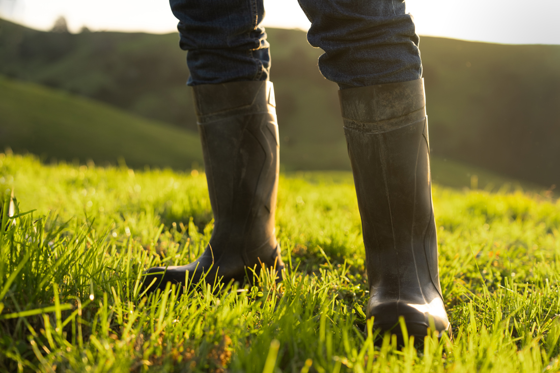Dairynz 1087