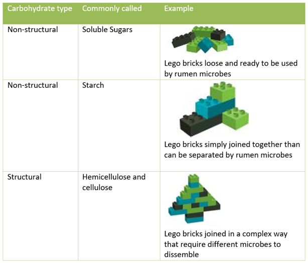 Carbohydrate Types And Characteristics