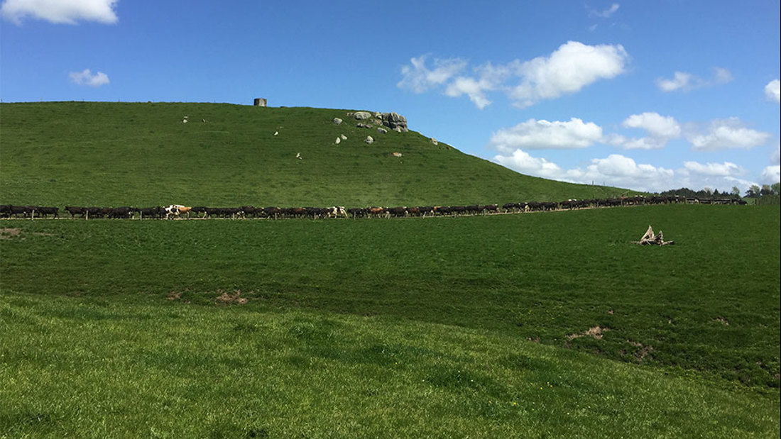 South Waikato Owner Pod1