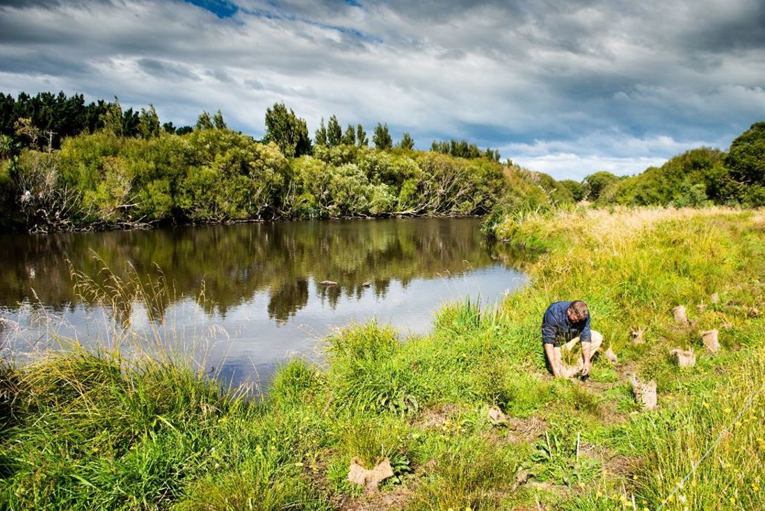 Waterbodies And Wetlands Ecological Balance